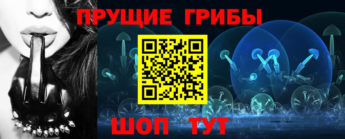 где продают наркотики  Галлюциногенные грибы ЛСД  Вход с VPN  Галлюциногенные грибы Psilocybine cubensis  Новозыбков 